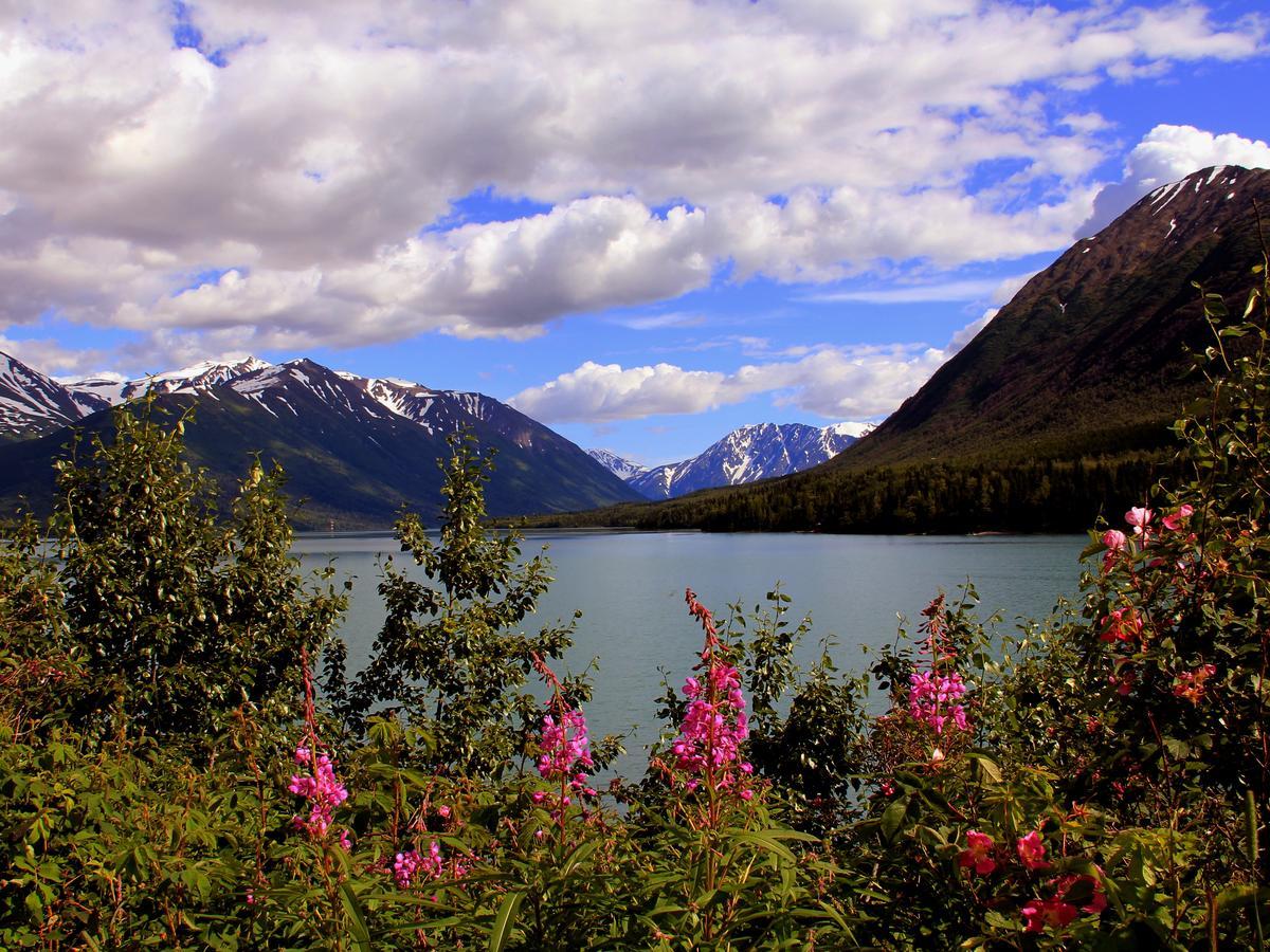 Reflection Lake Bed And Breakfast Anchorage Exterior foto